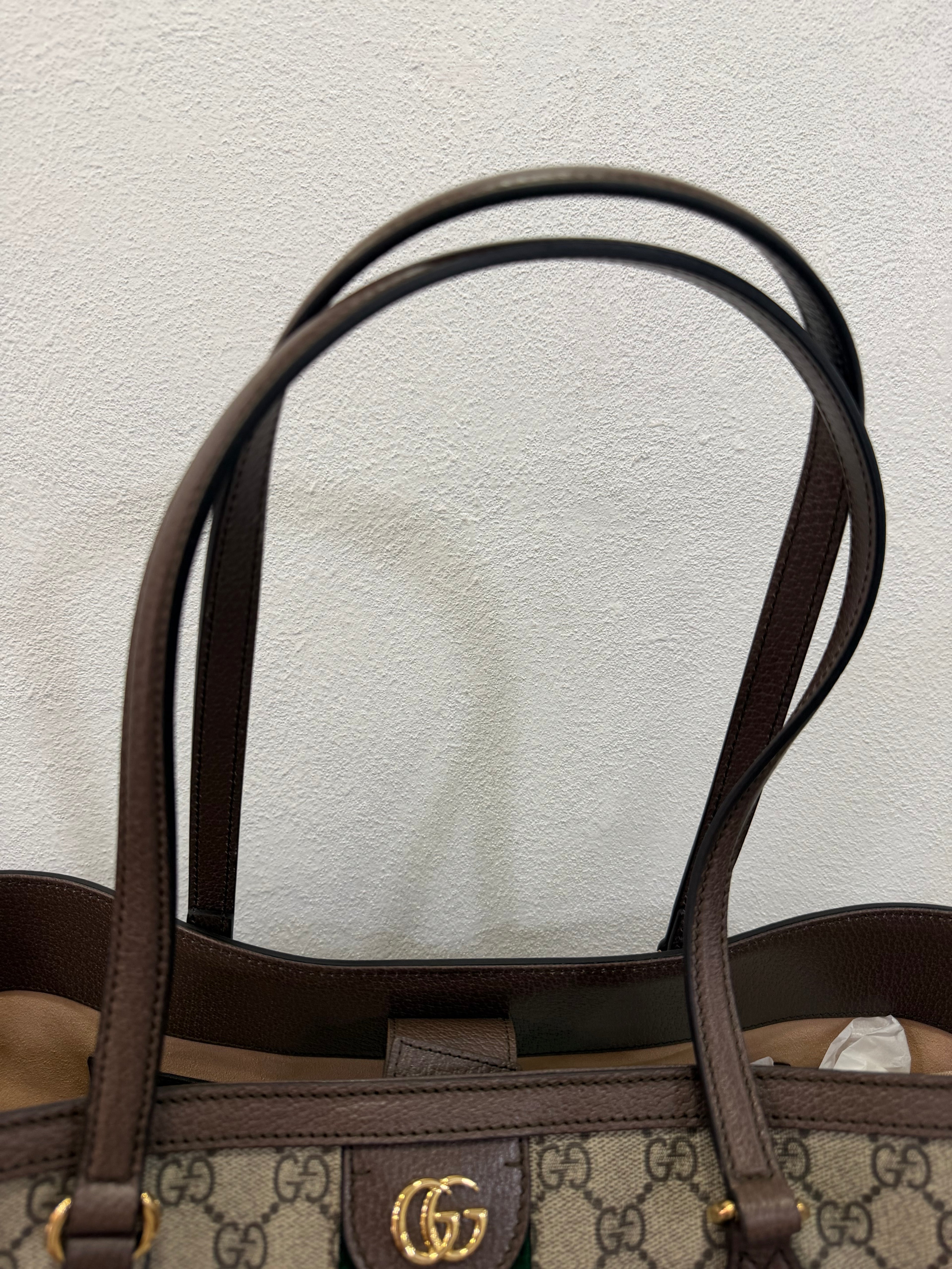 Gucci Shopping Ophidia