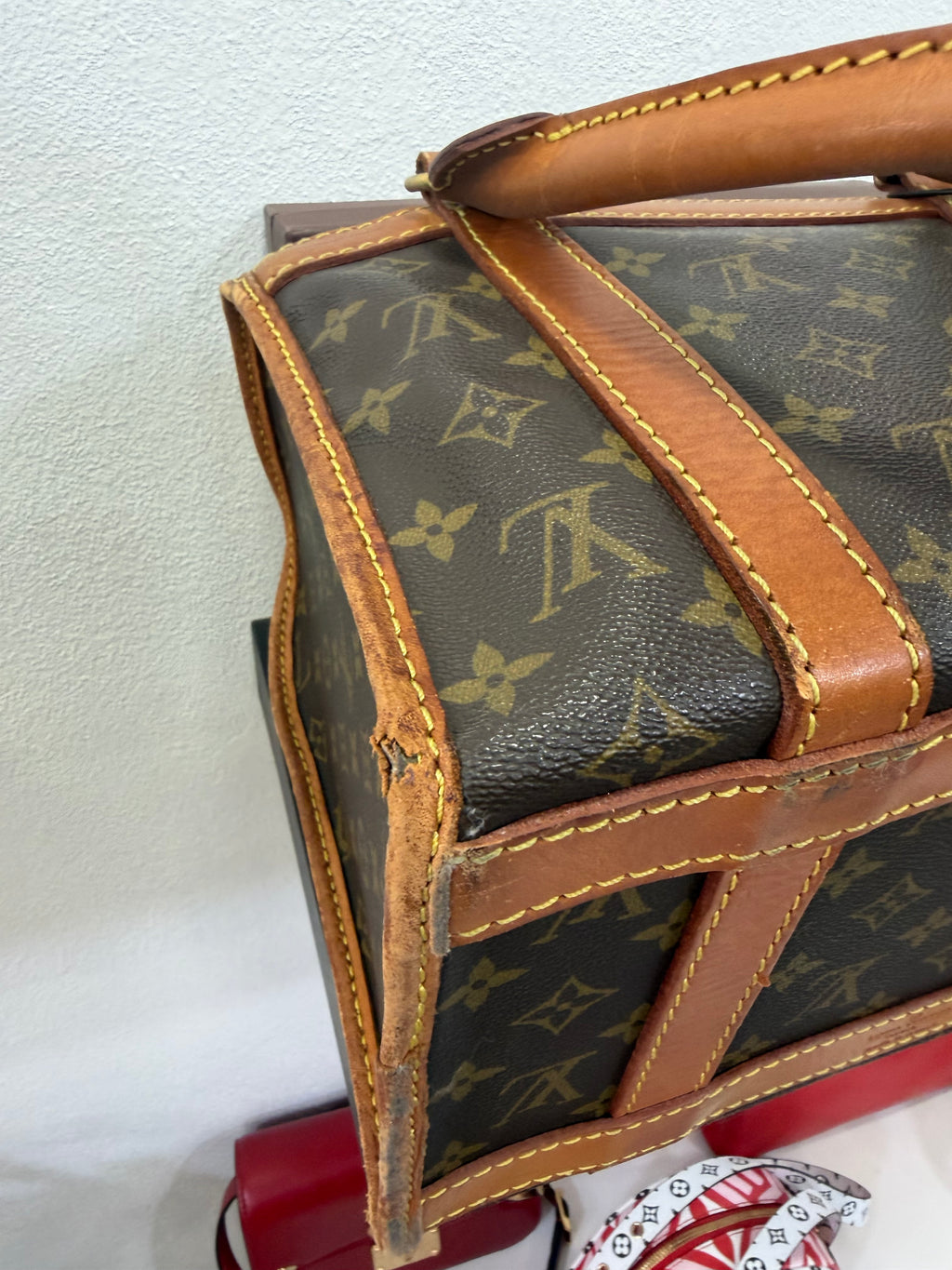 Louis Vuitton Sac Chien