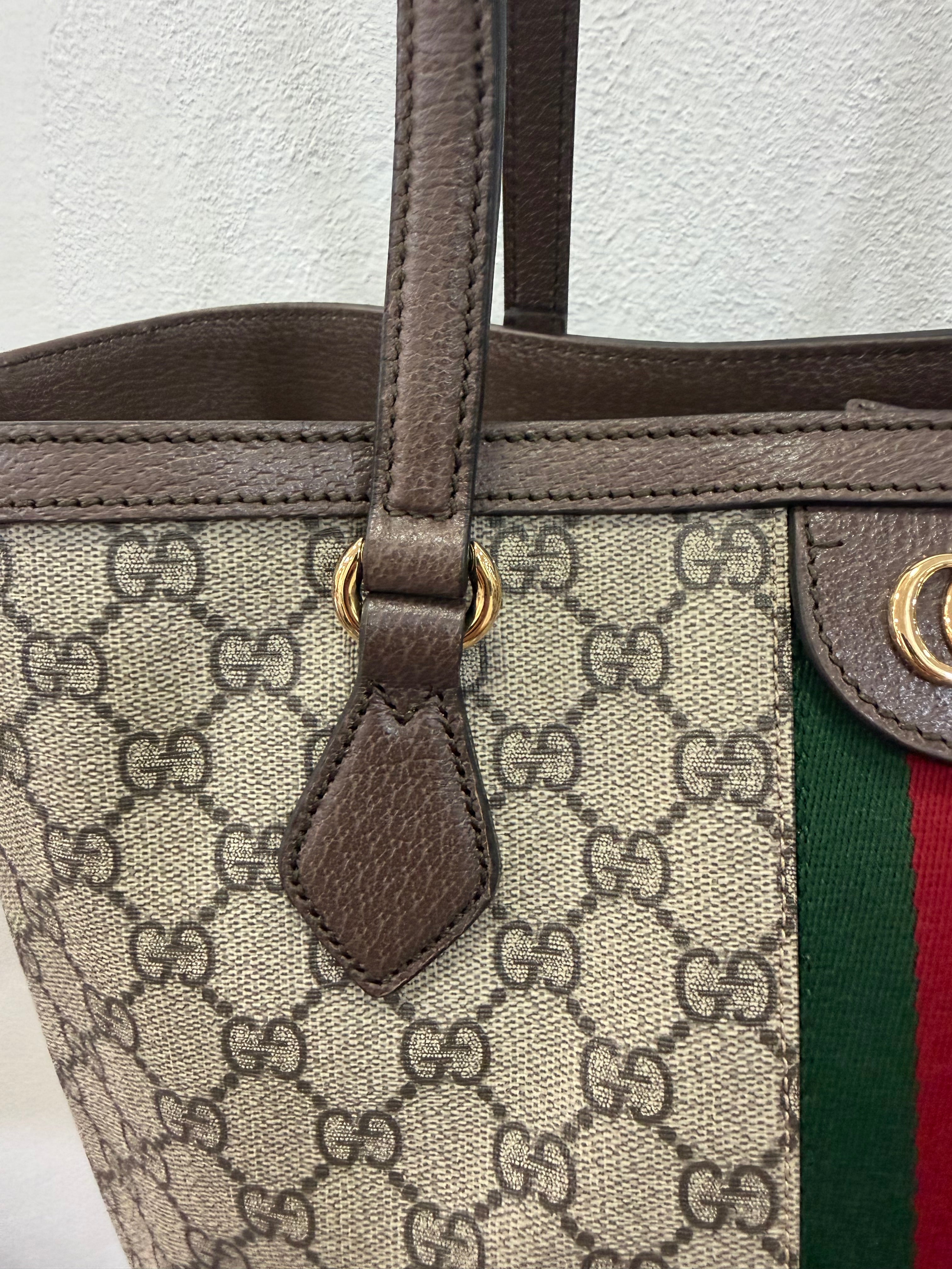 Gucci Shopping Ophidia