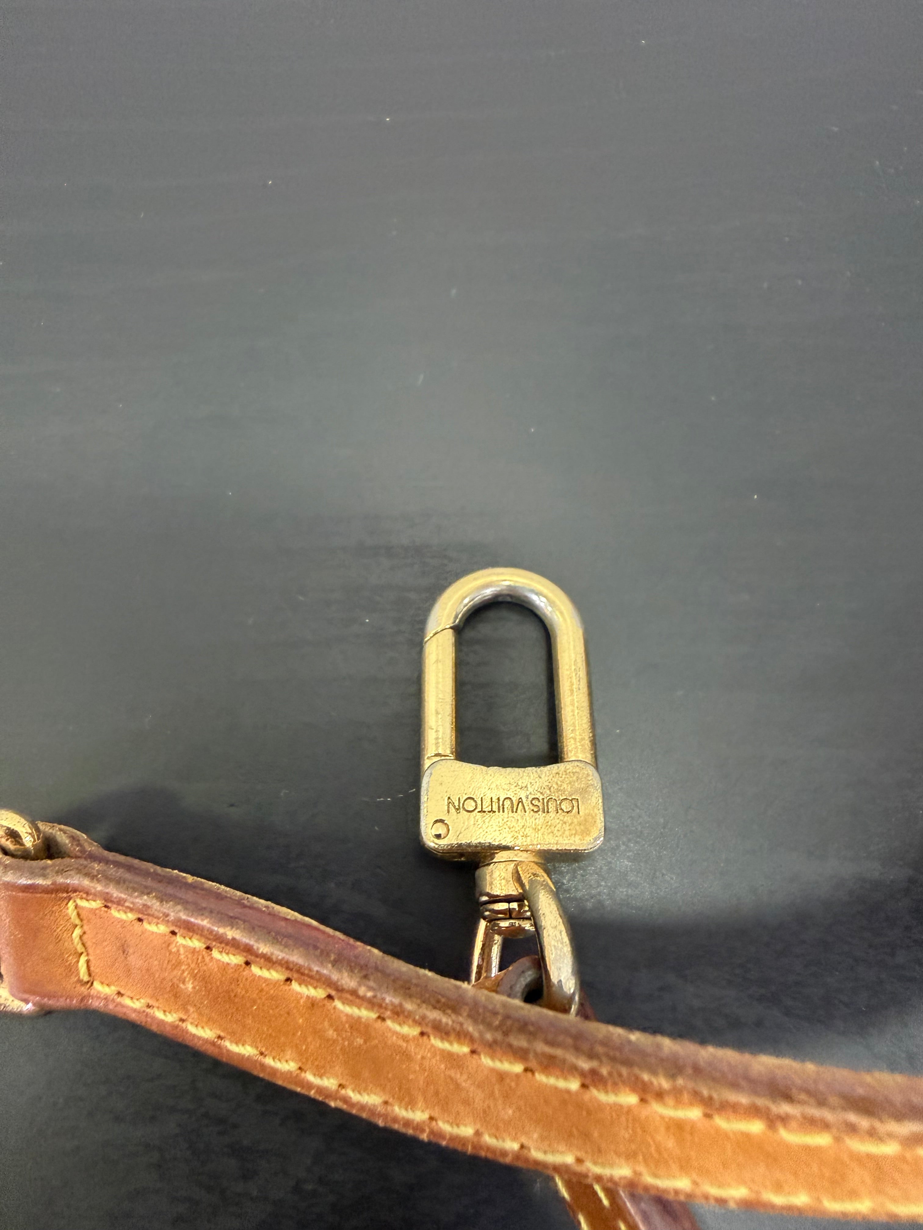 Louis Vuitton Tracolla In pelle
