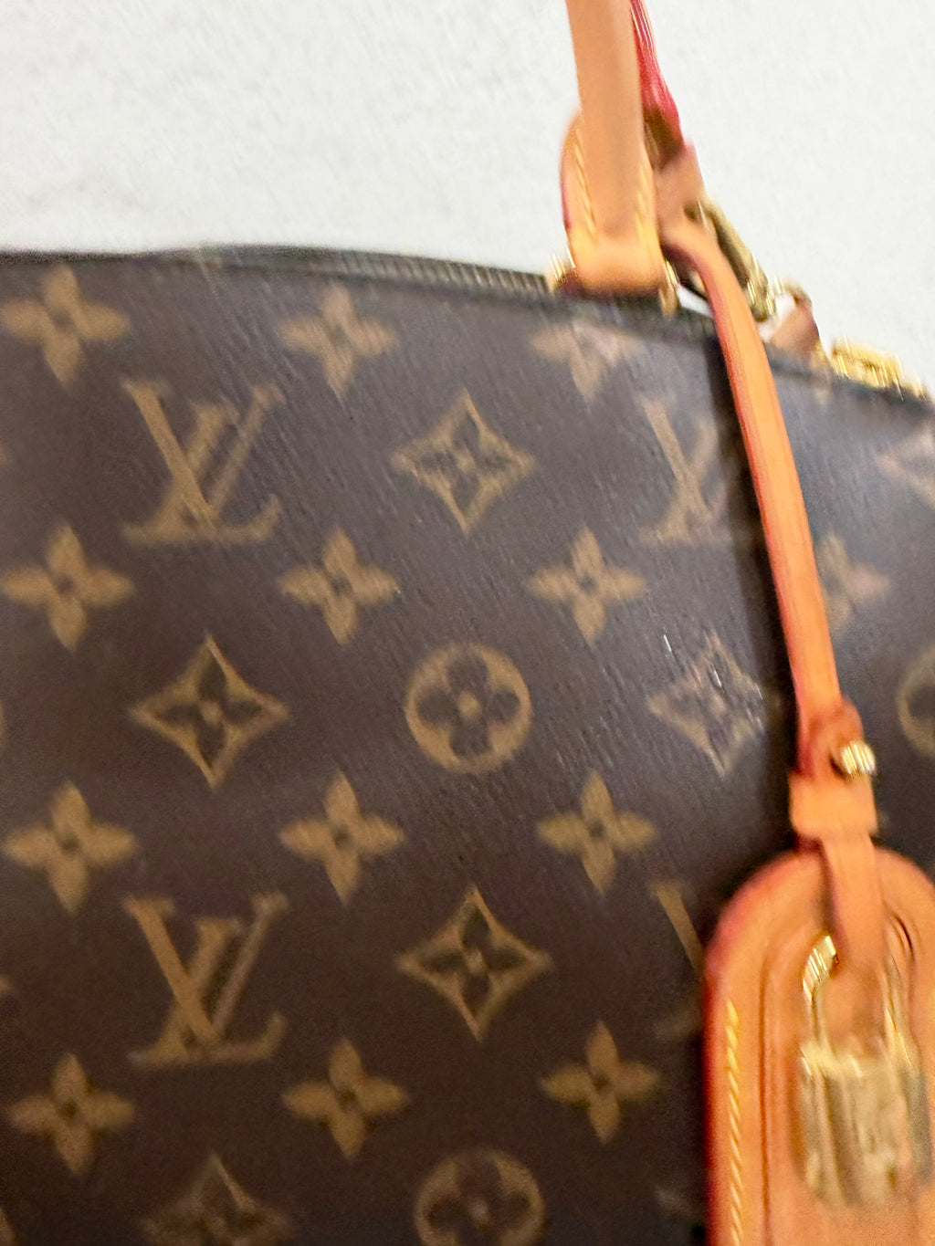 Louis Vuitton Petit Palais Monogram