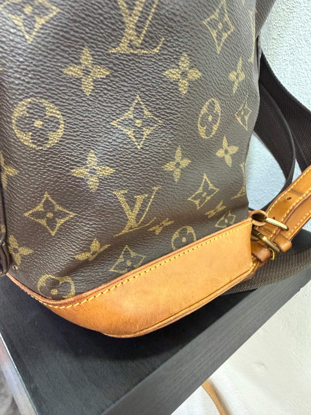 Louis Vuitton Montsouris MM