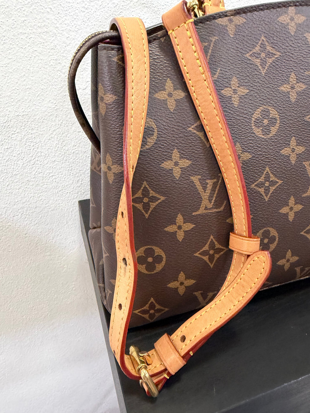Louis Vuitton Petit Palais