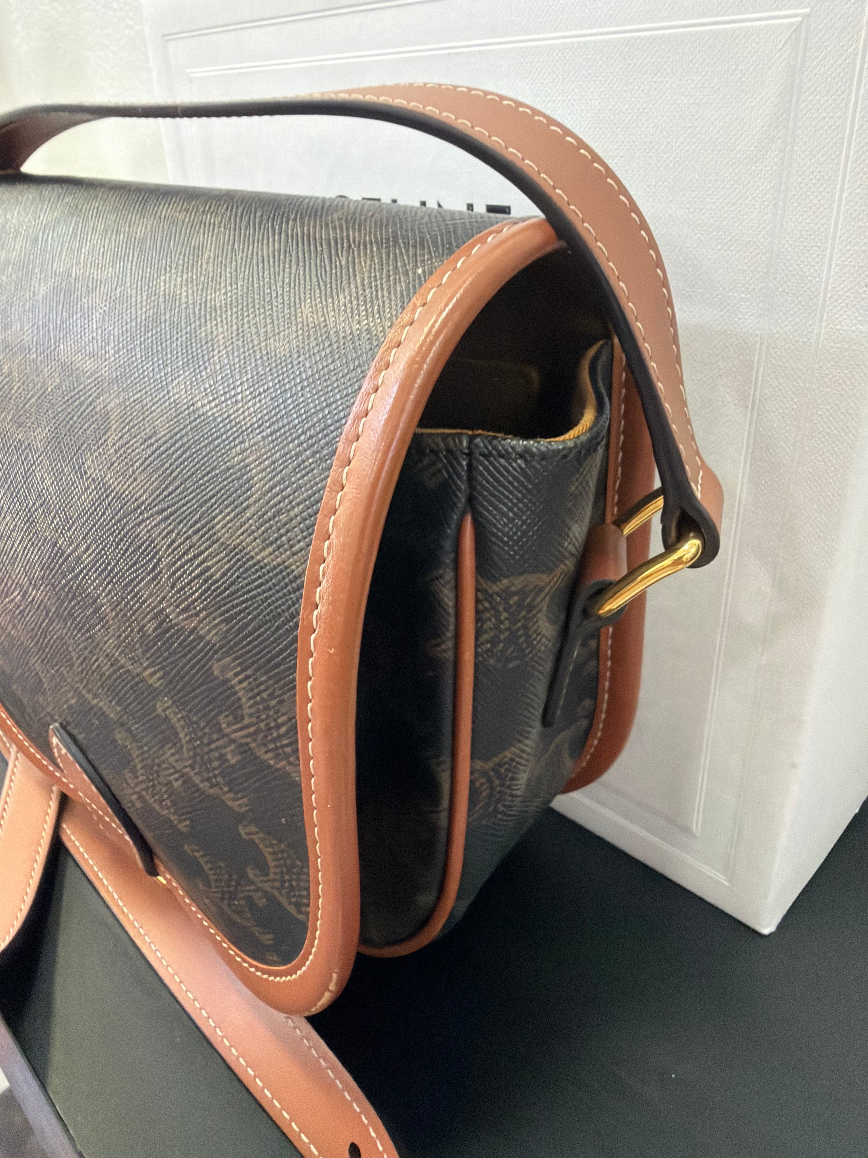 Celine Folco in tela Triomphe