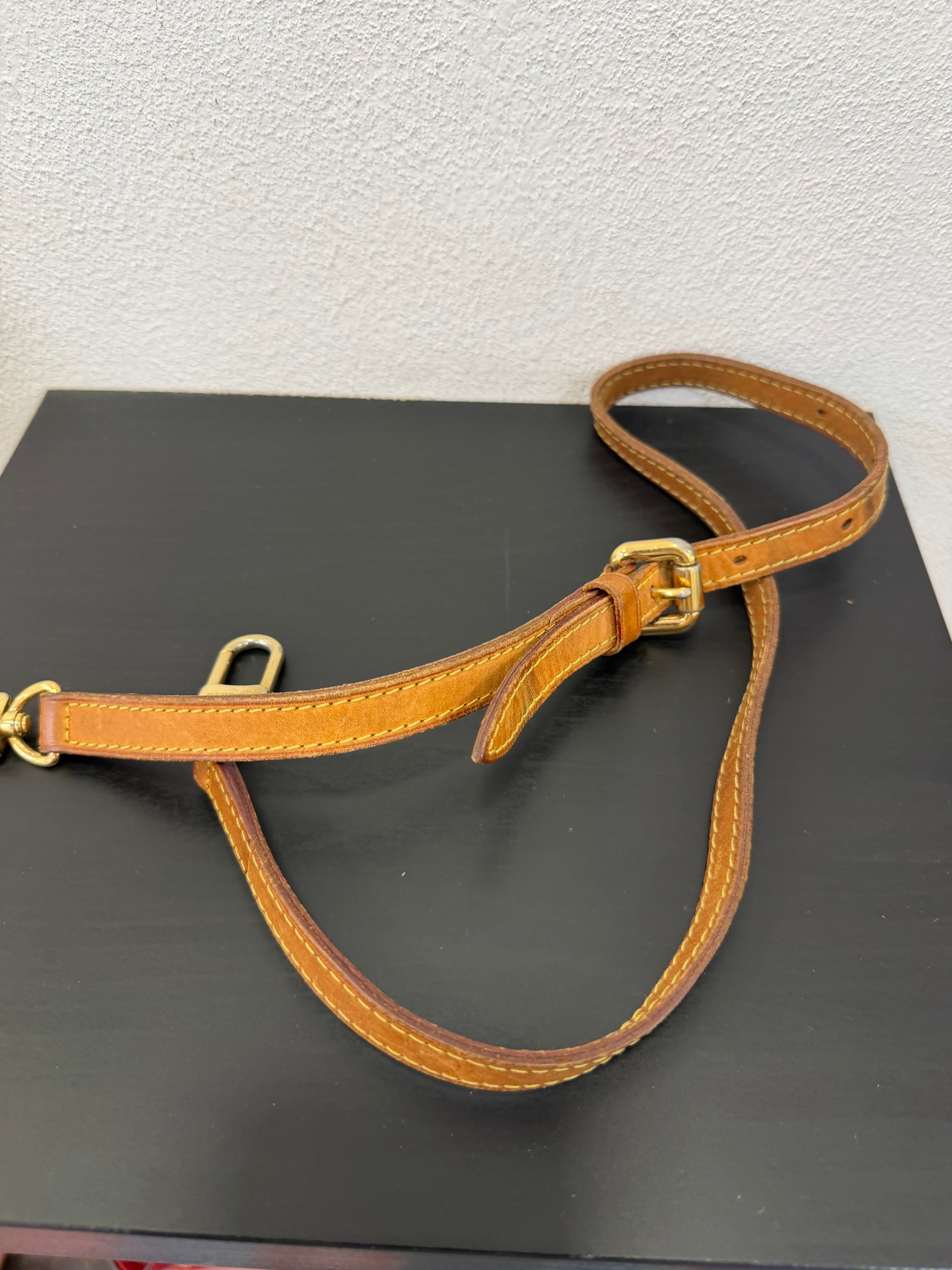 Louis Vuitton Tracolla In pelle