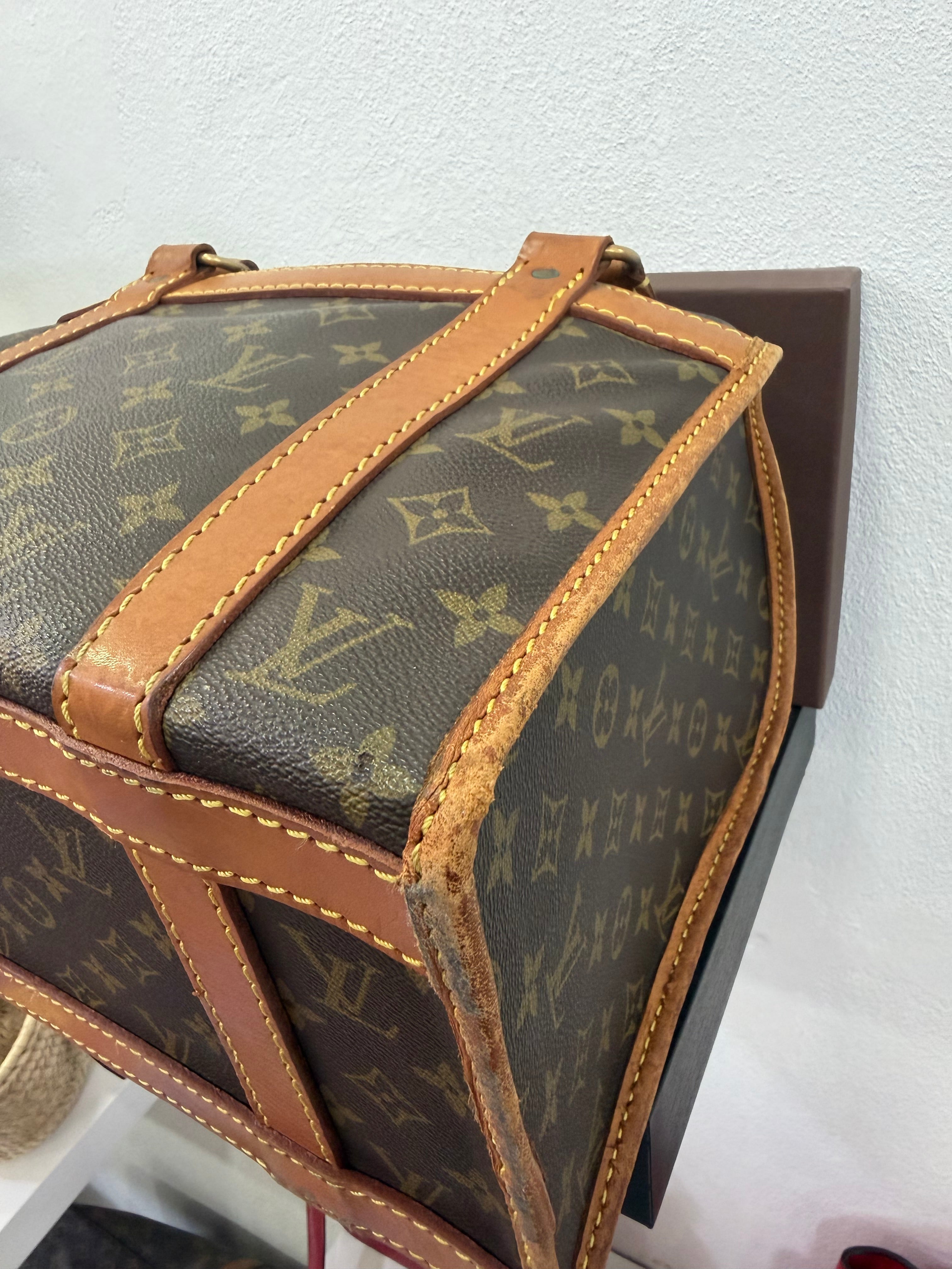 Louis Vuitton Sac Chien
