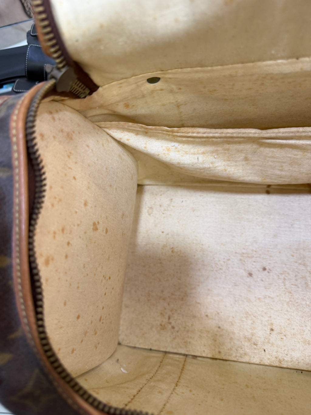 Louis Vuitton Sac Chien