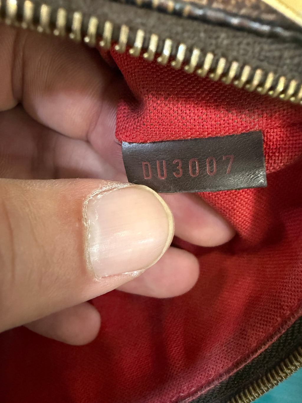 Louis Vuitton Sophie Damier Ebene