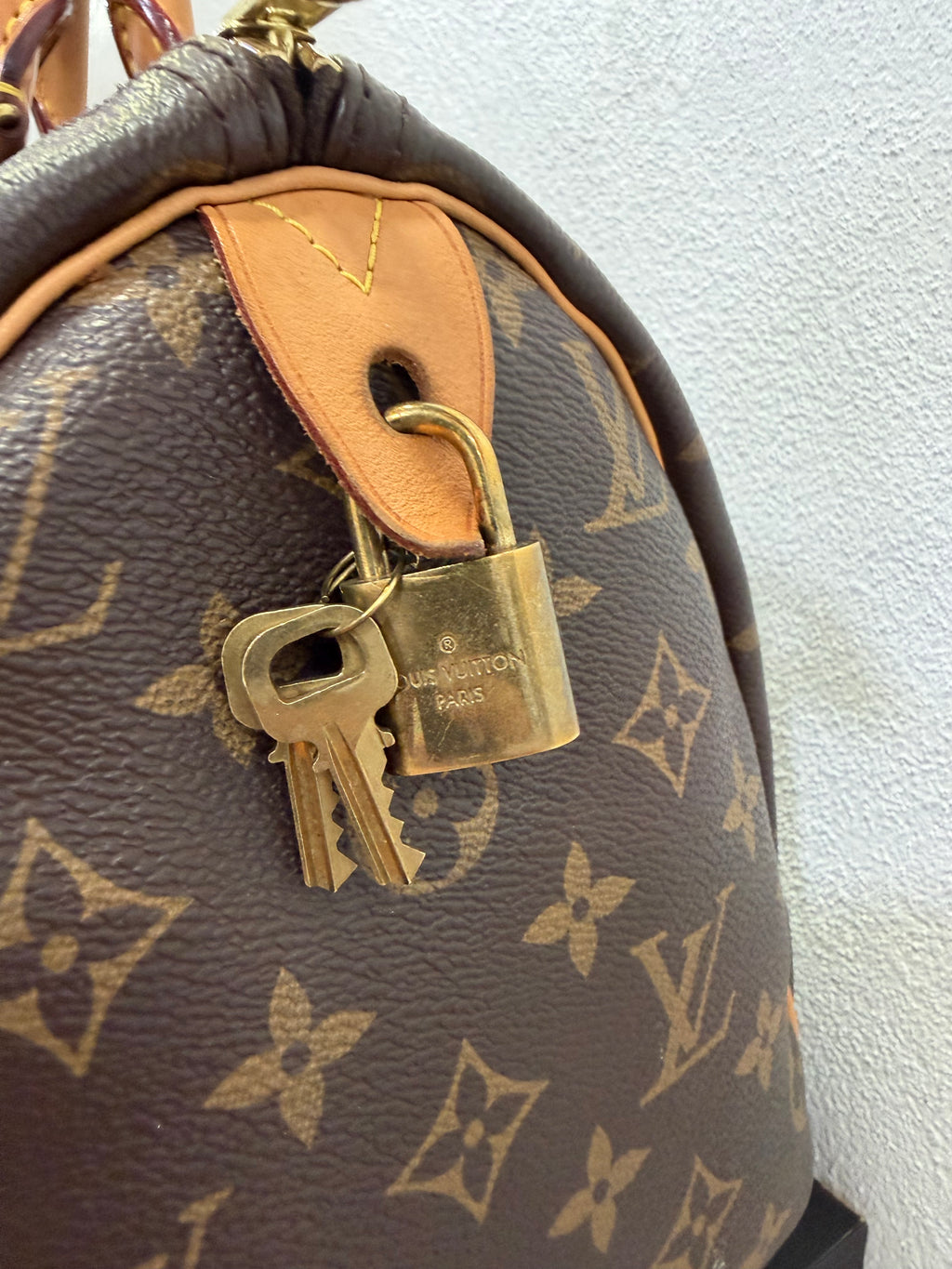 Louis Vuitton Speedy 30