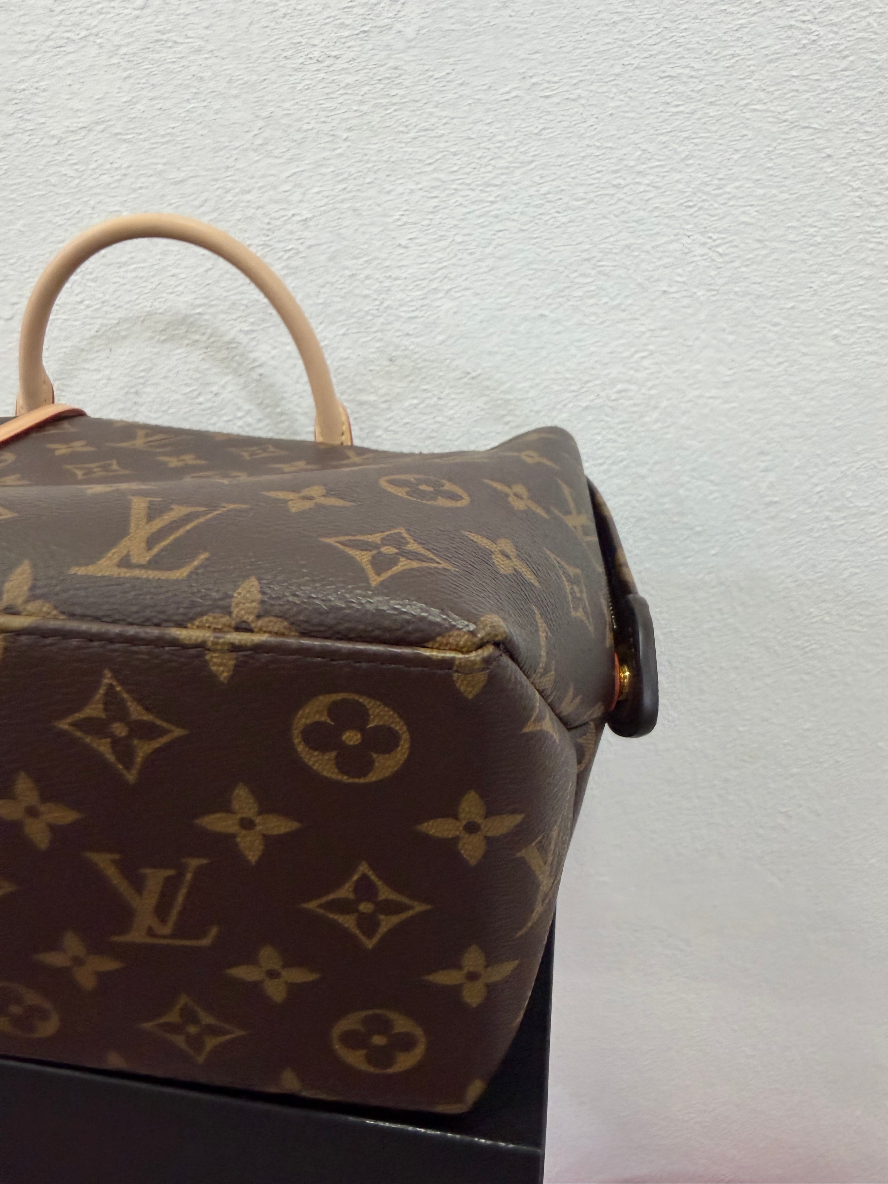 Louis Vuitton Petit Palais Monogram