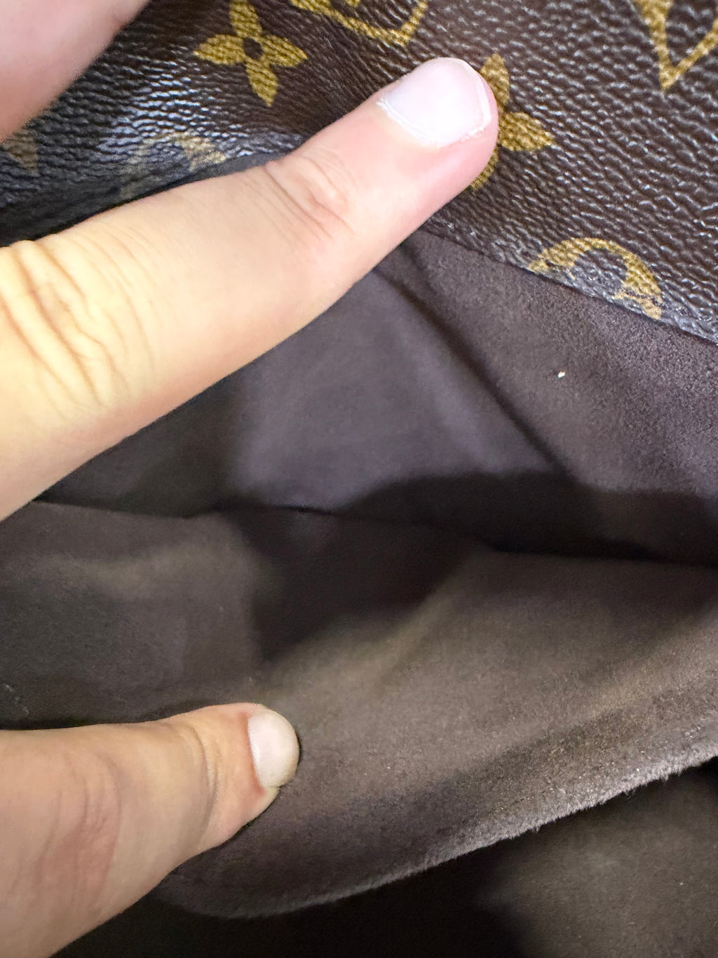 Louis Vuitton Metis Monogram