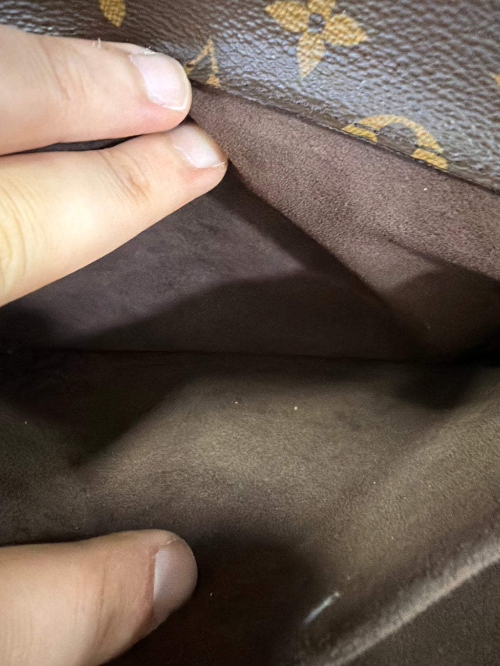 Louis Vuitton Metis Monogram