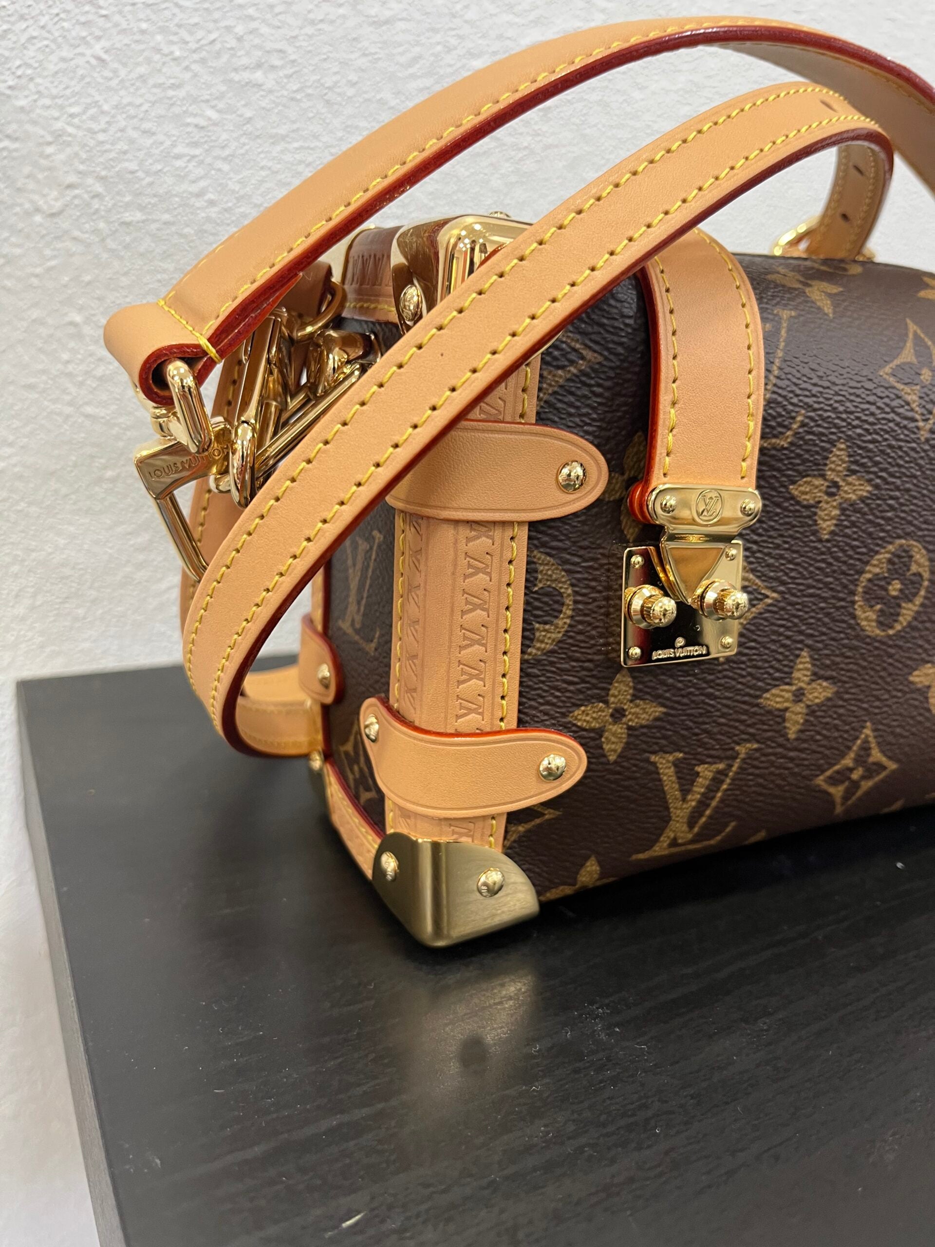 Louis Vuitton Side Trunk PM