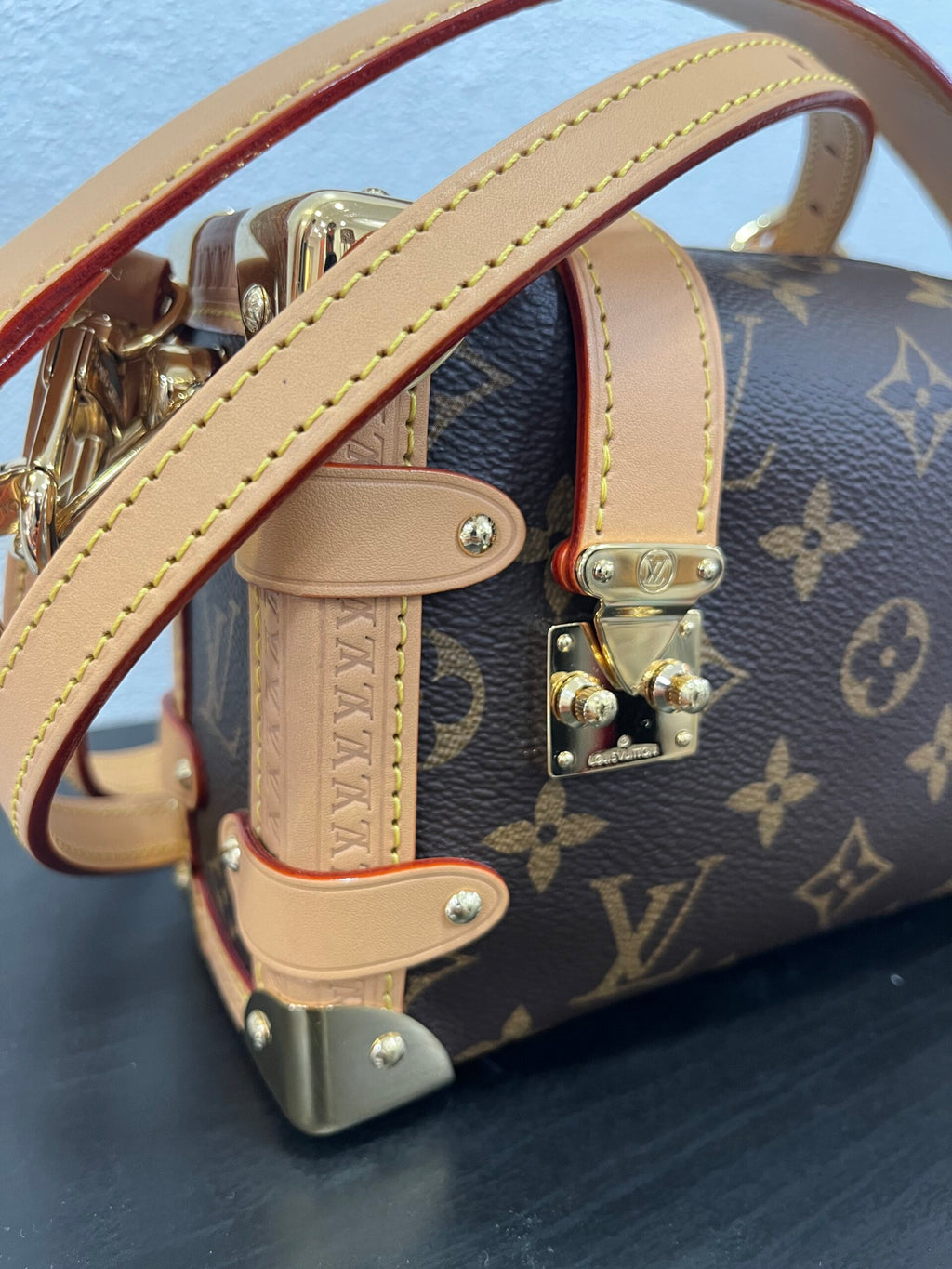 Louis Vuitton Side Trunk PM