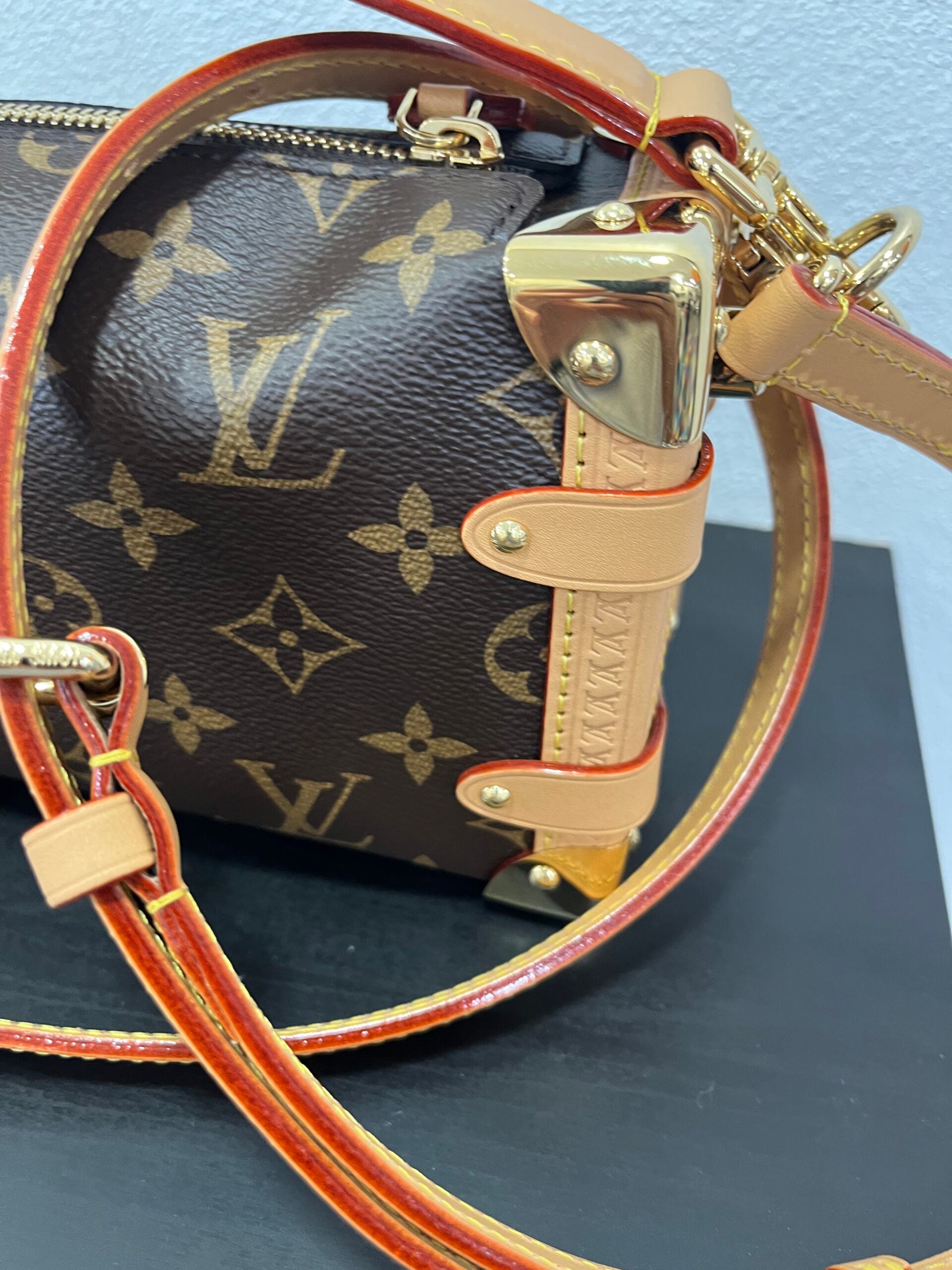 Louis Vuitton Side Trunk PM