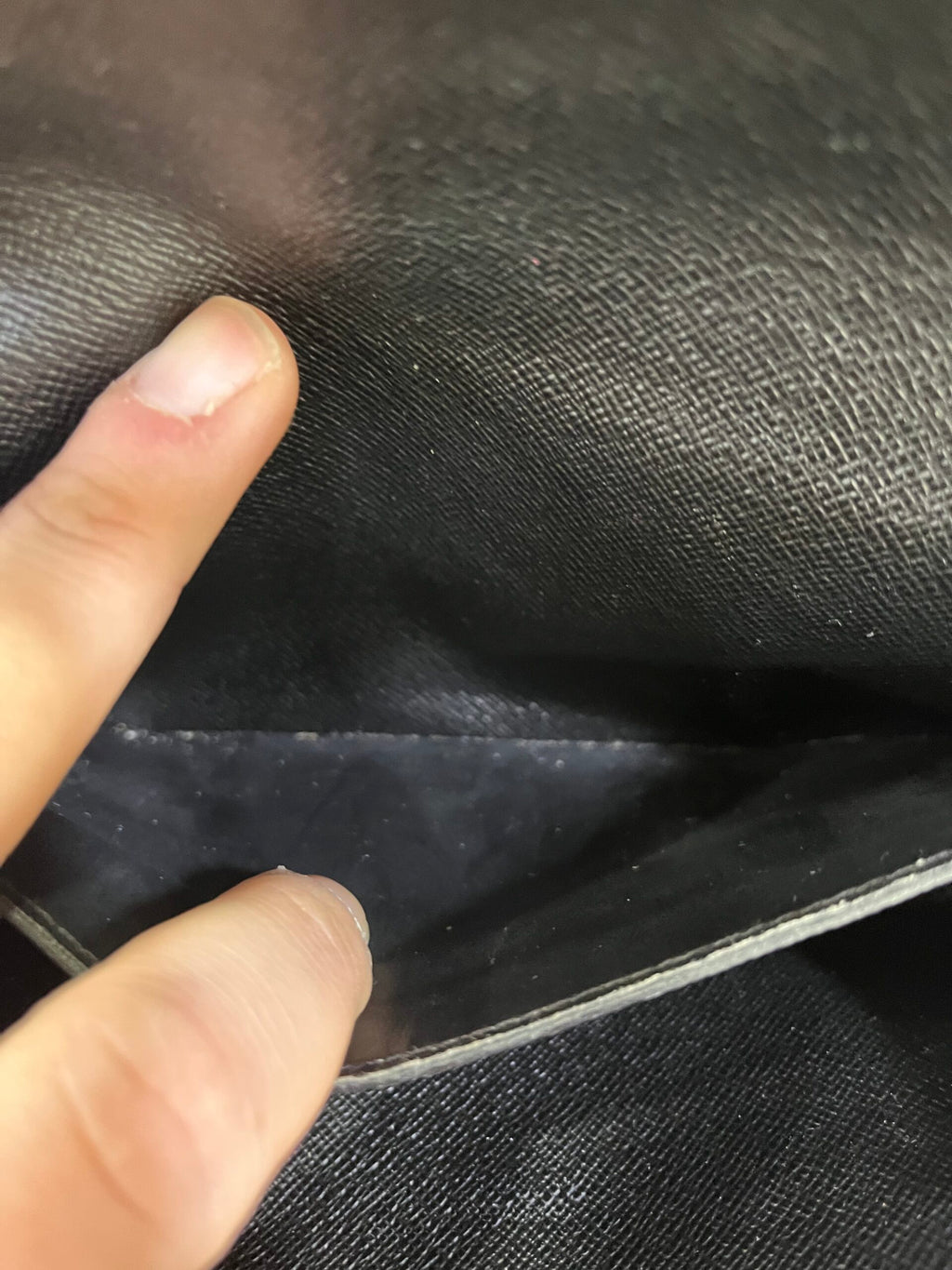 Louis Vuitton Twist Jungle Palm WOC
