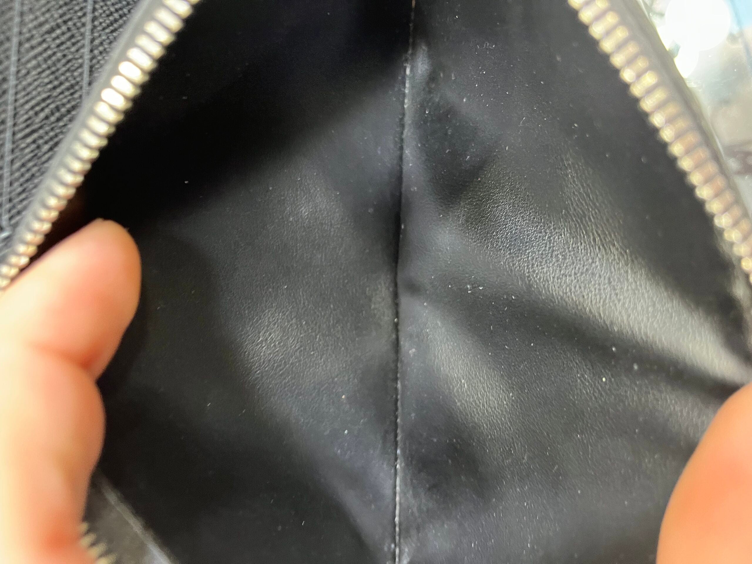Louis Vuitton Twist Jungle Palm WOC