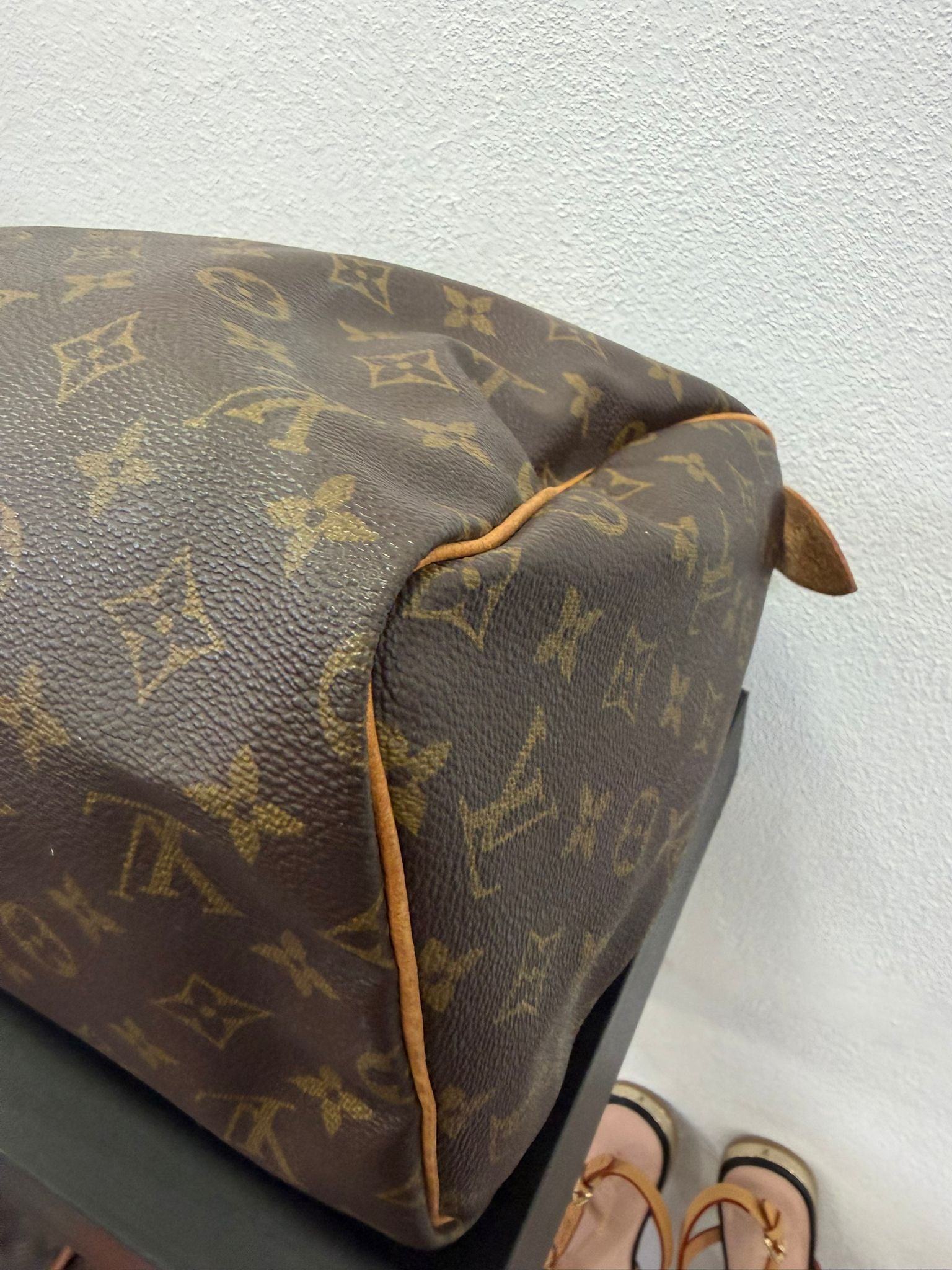 Louis Vuitton Speedy 30 Monogram