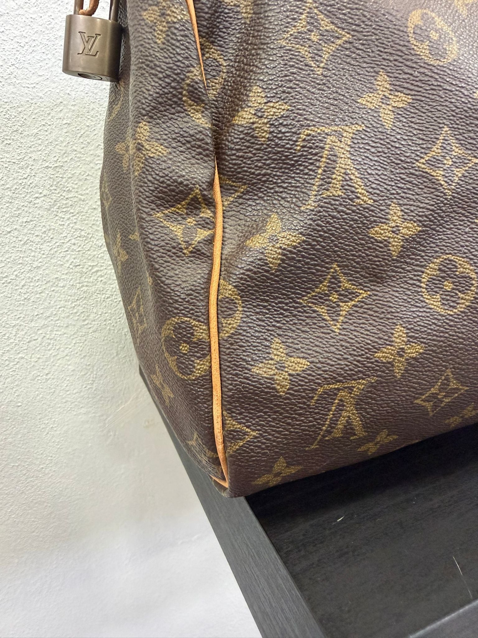 Louis Vuitton Speedy 30 Monogram