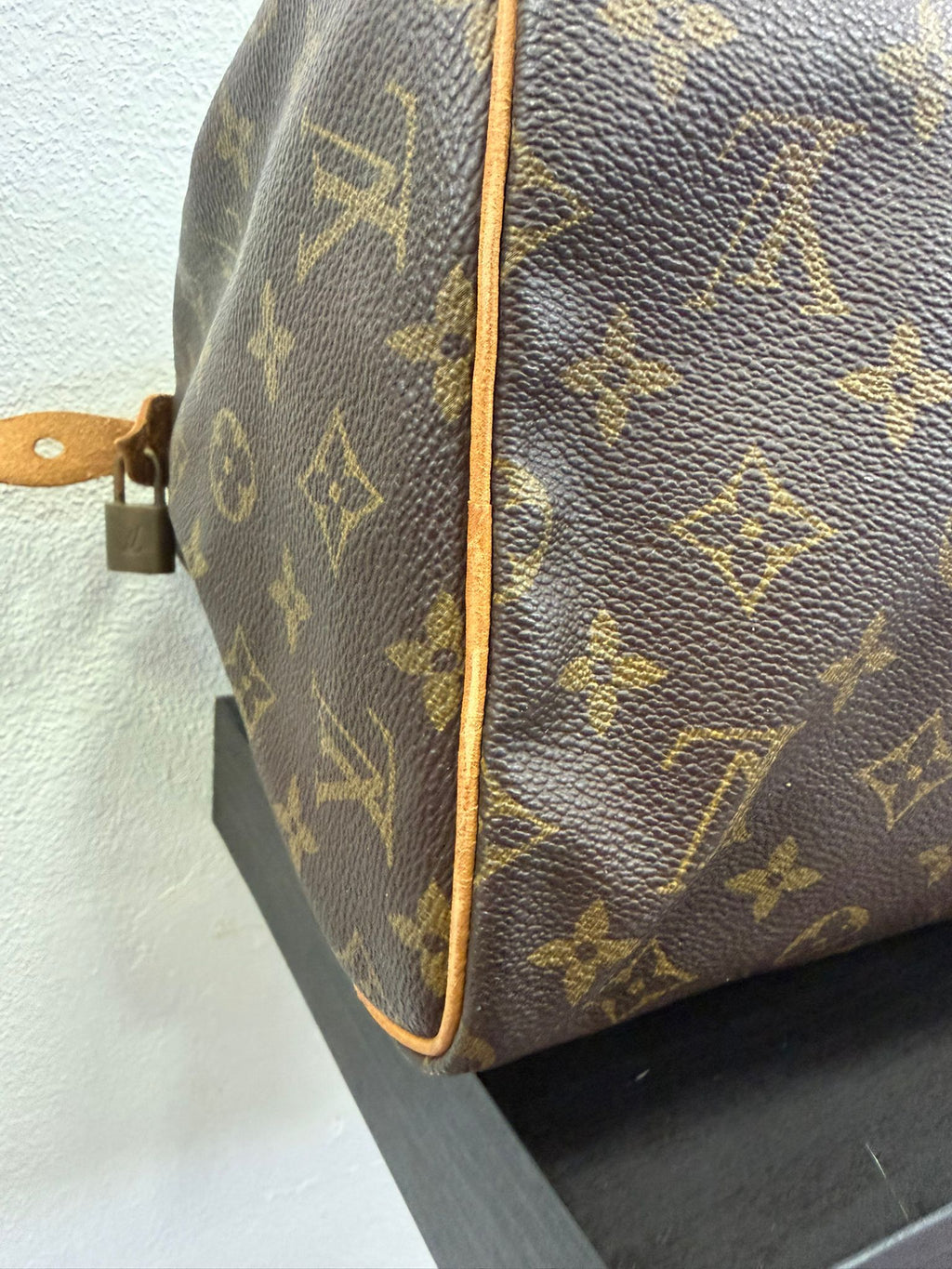 Louis Vuitton Speedy 30 Monogram