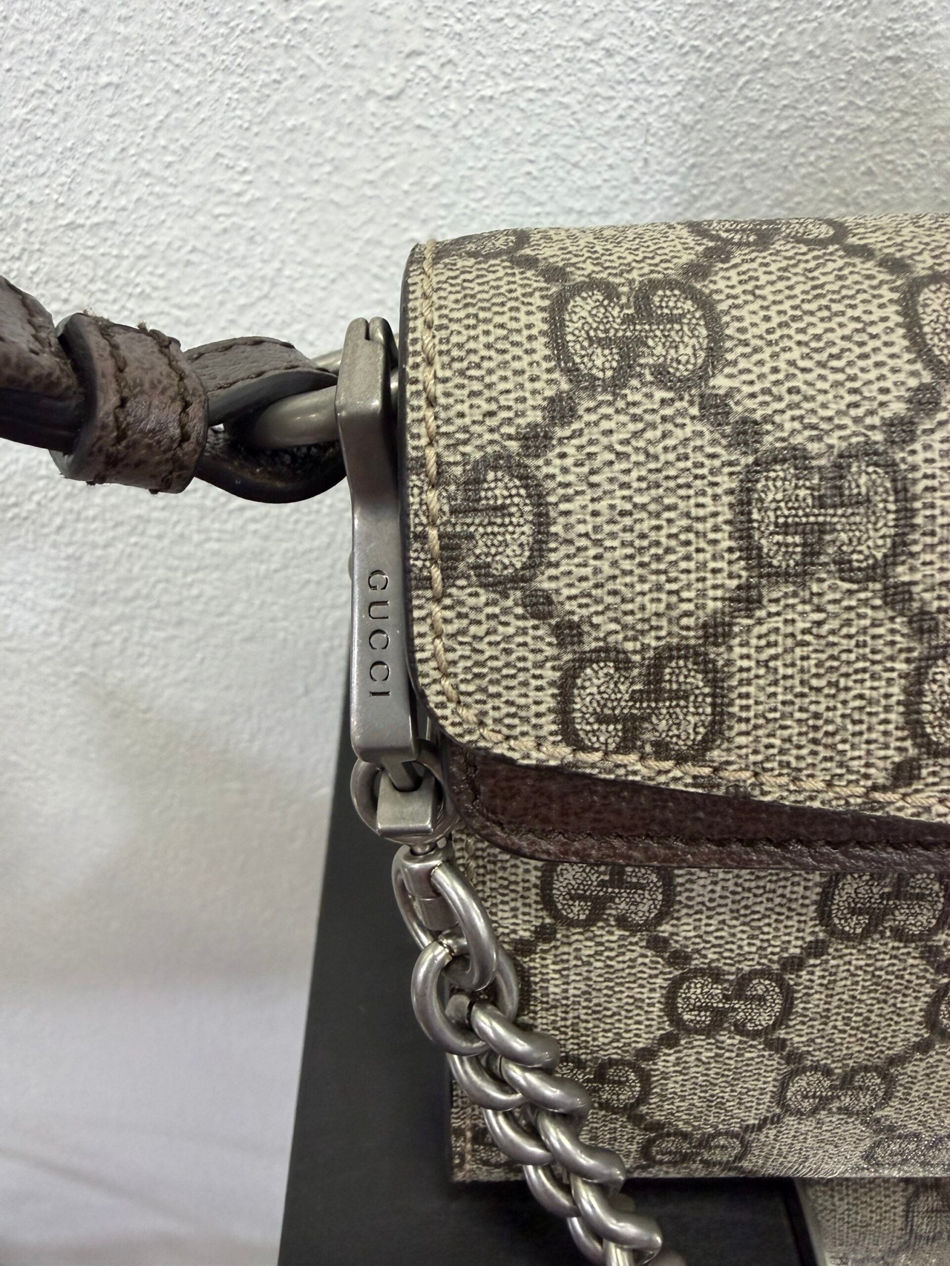 Gucci Dyonisus Chain