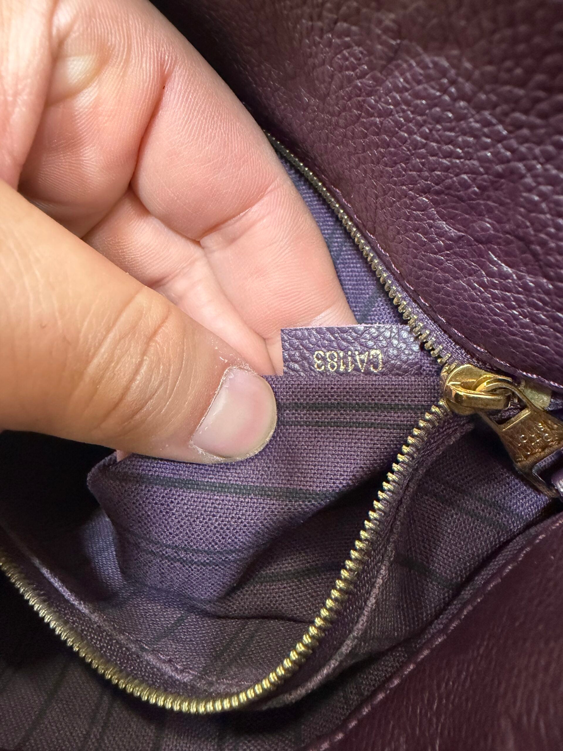 Louis Vuitton Metis Hobo