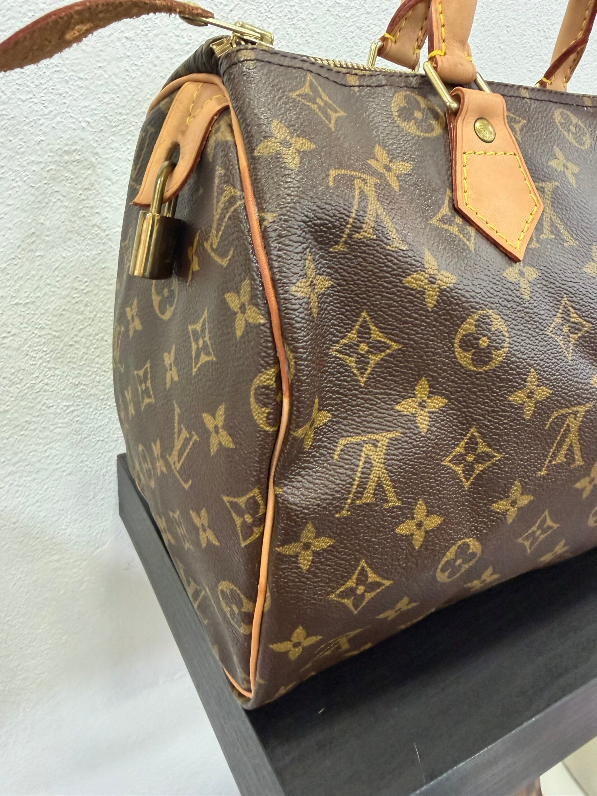 Louis Vuitton Speedy 30 Monogram