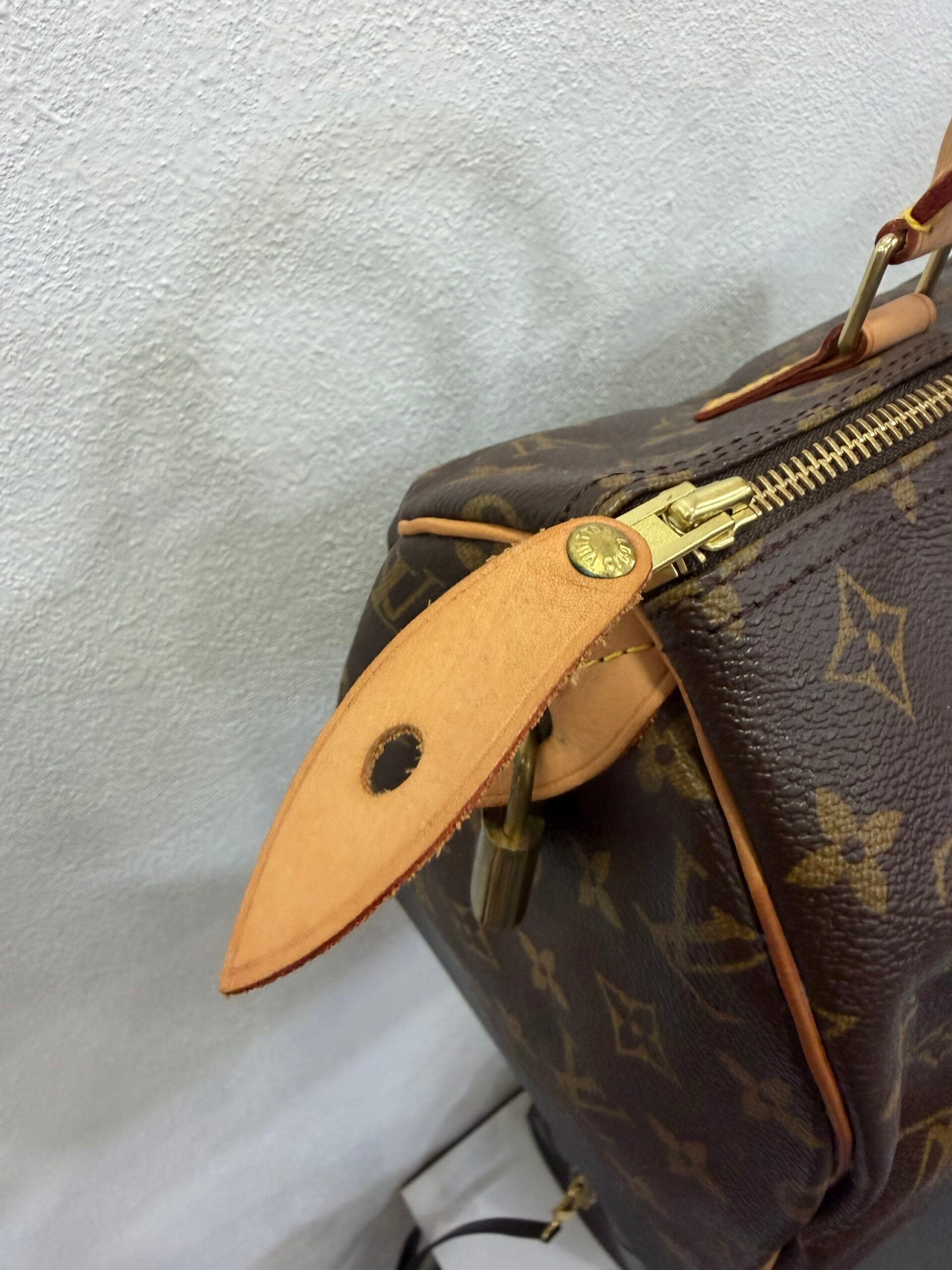 Louis Vuitton Speedy 30 Monogram