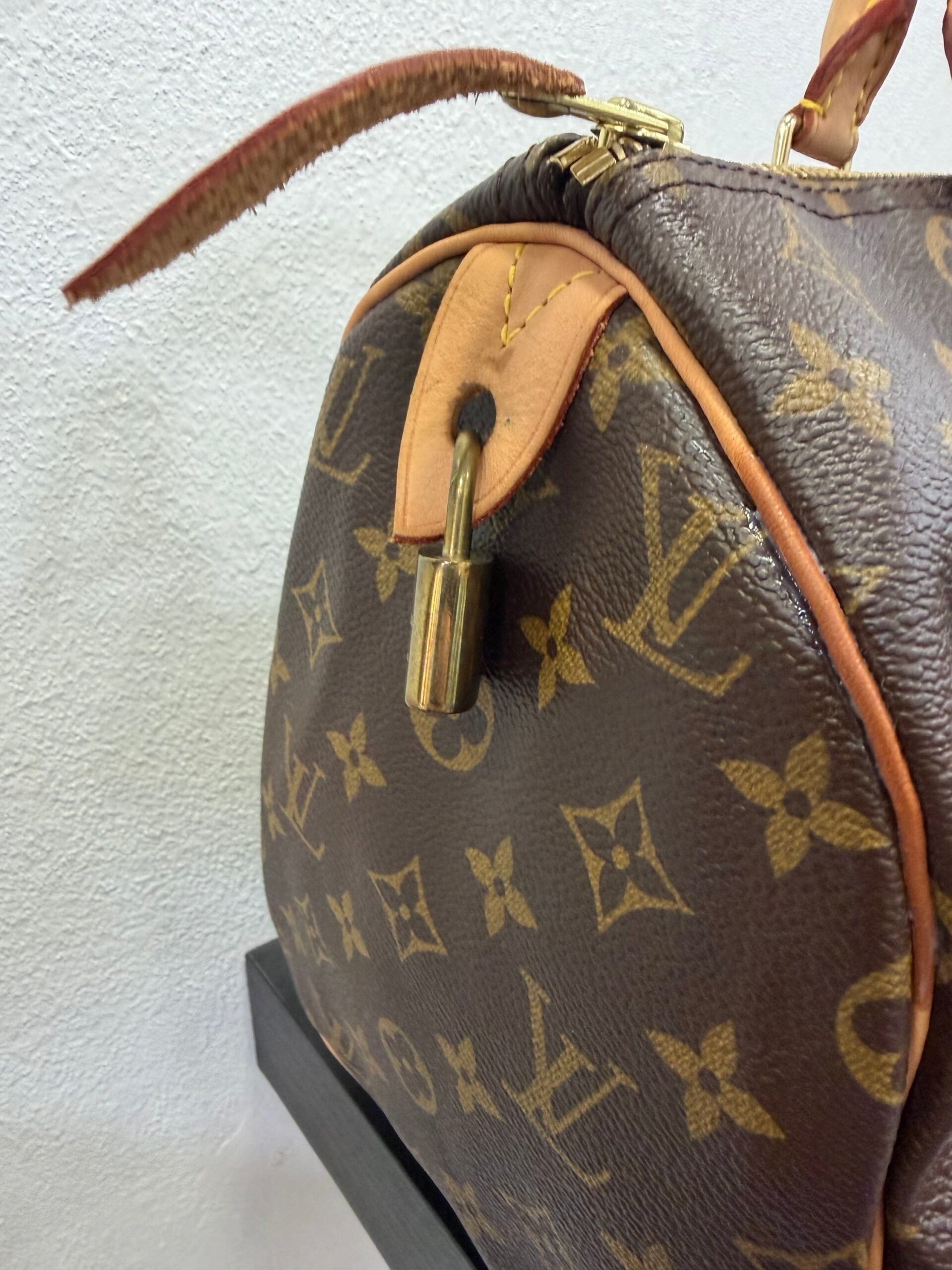 Louis Vuitton Speedy 30 Monogram