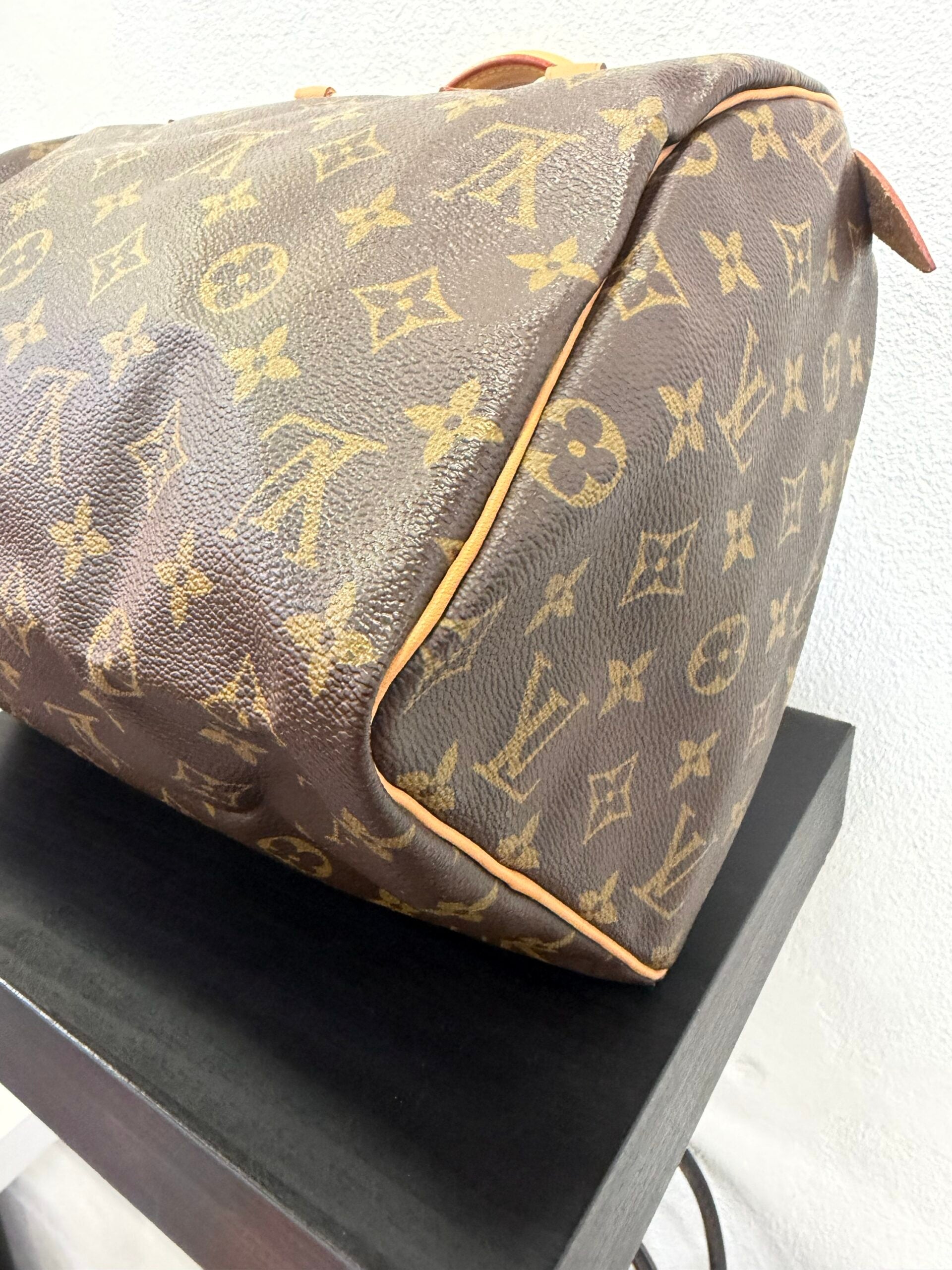 Louis Vuitton Speedy 30 Monogram
