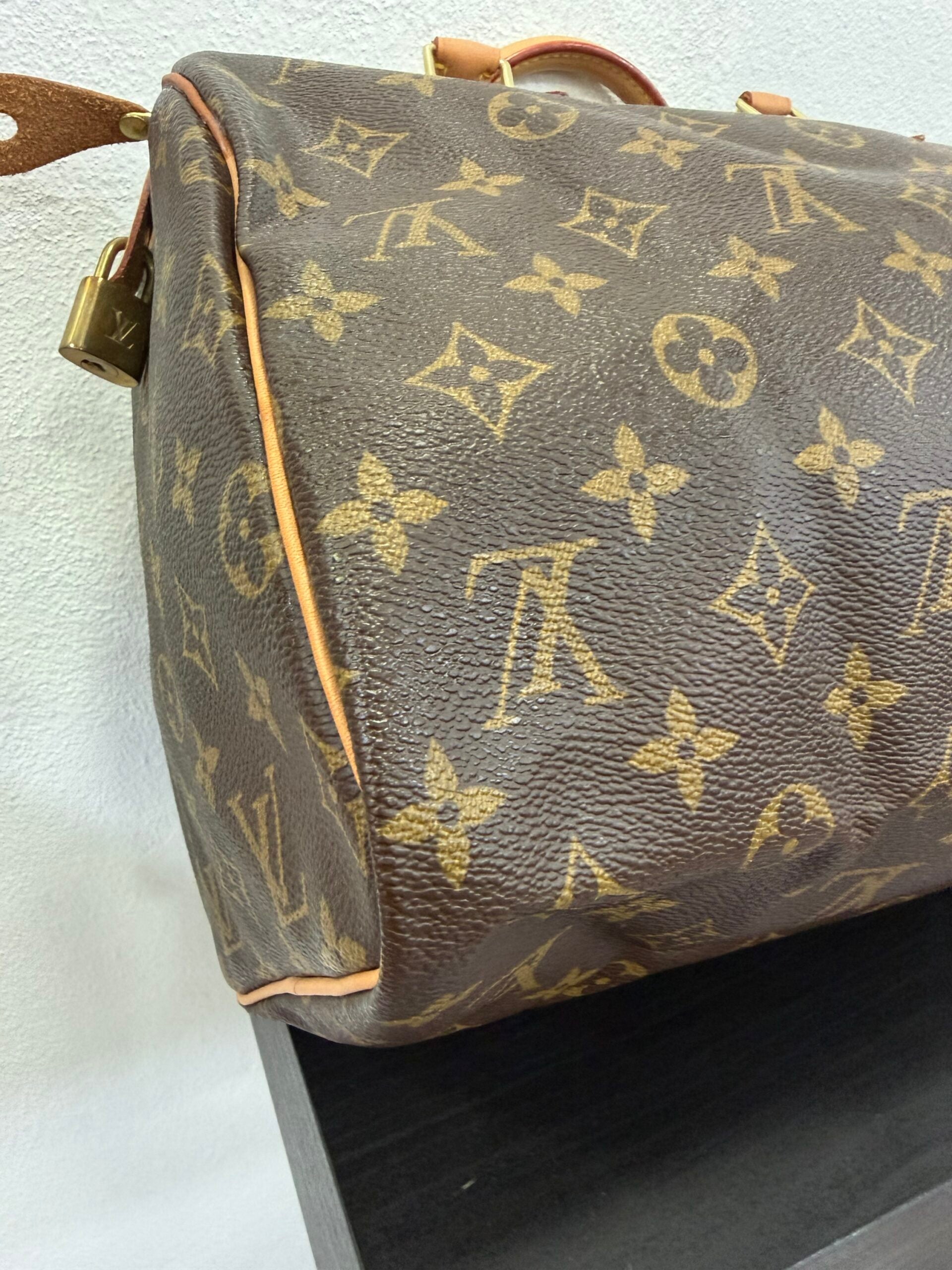 Louis Vuitton Speedy 30 Monogram