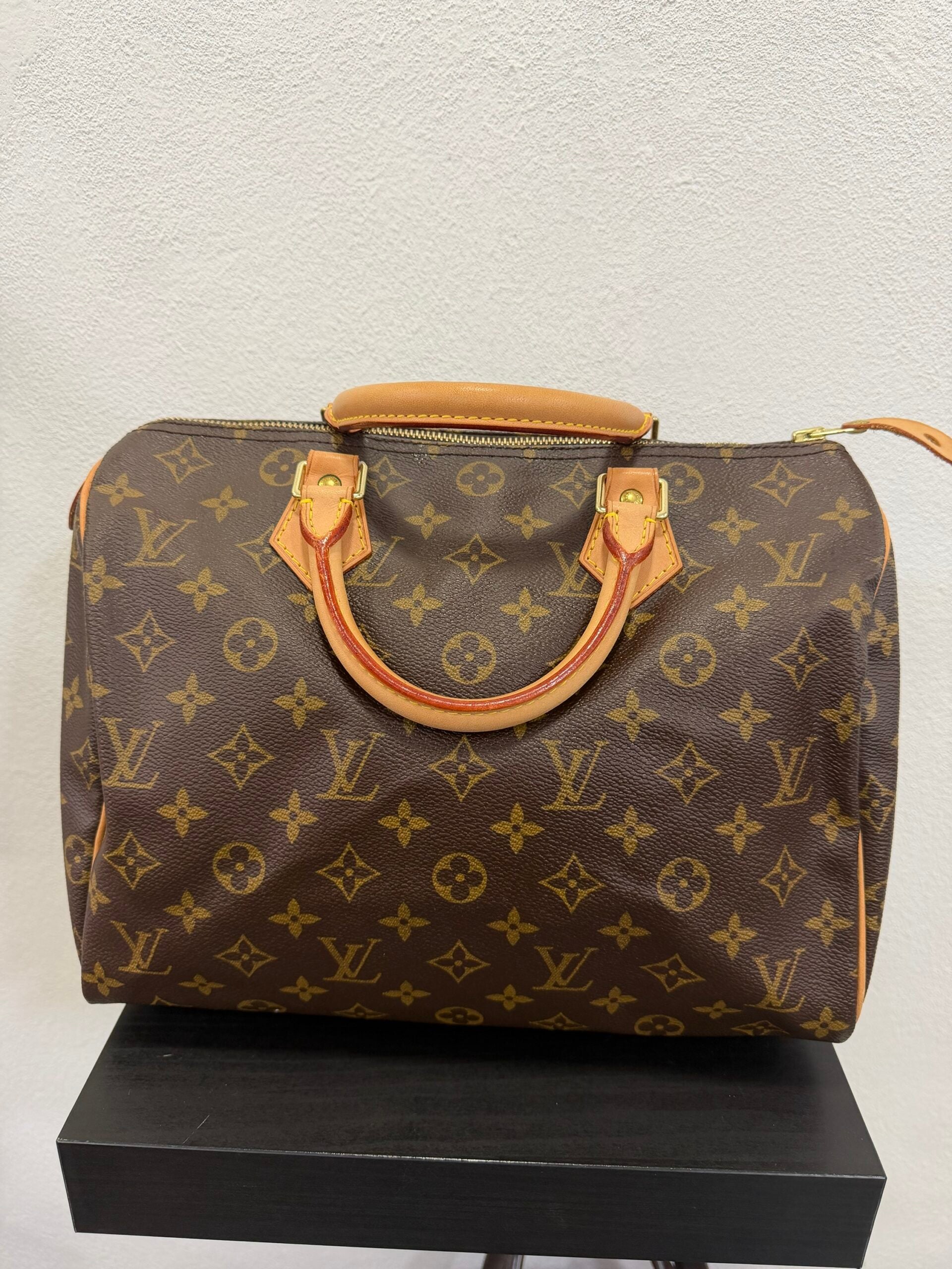 Louis Vuitton Speedy 30 Monogram
