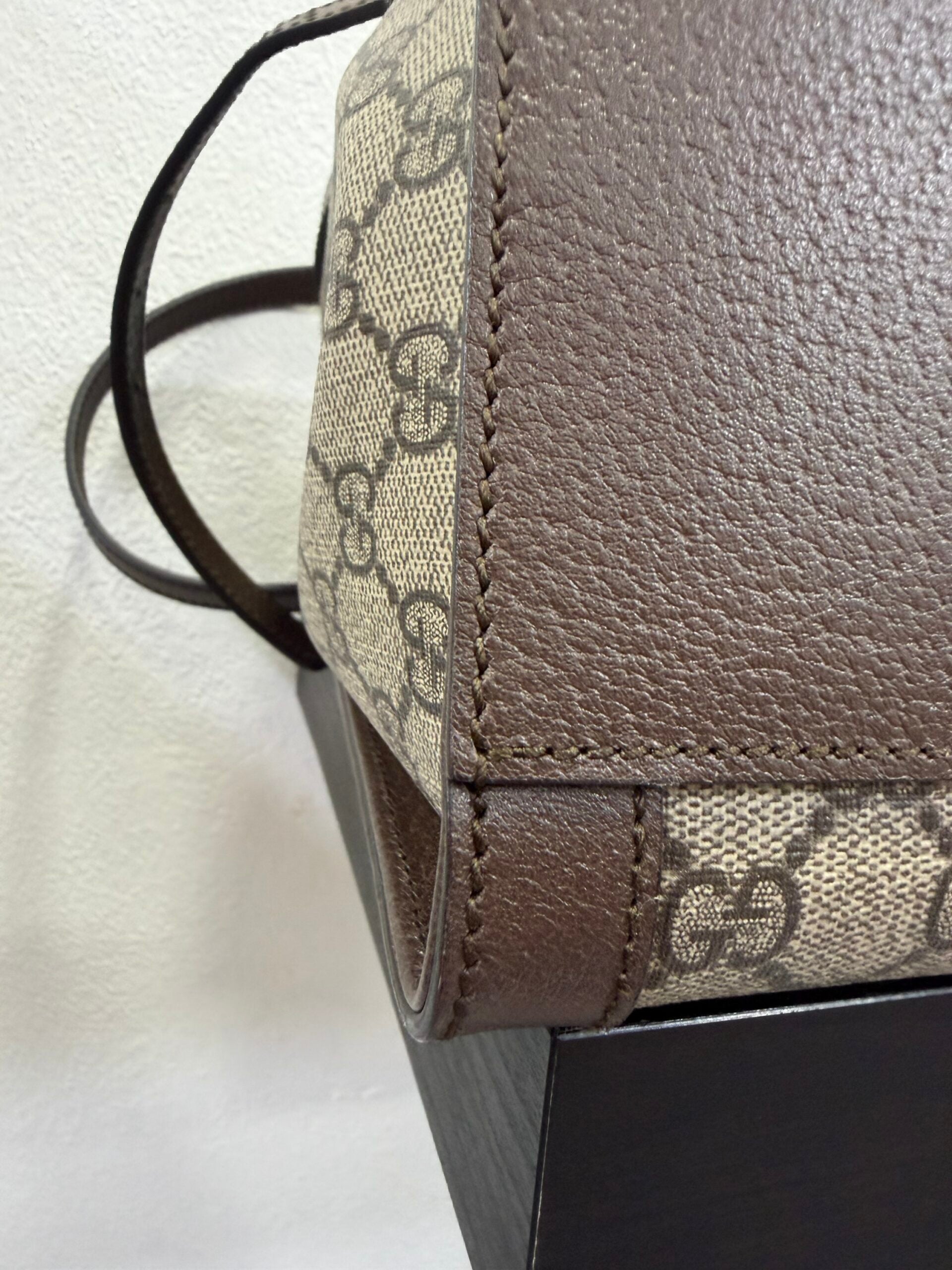 Gucci Tote bag Ophidia