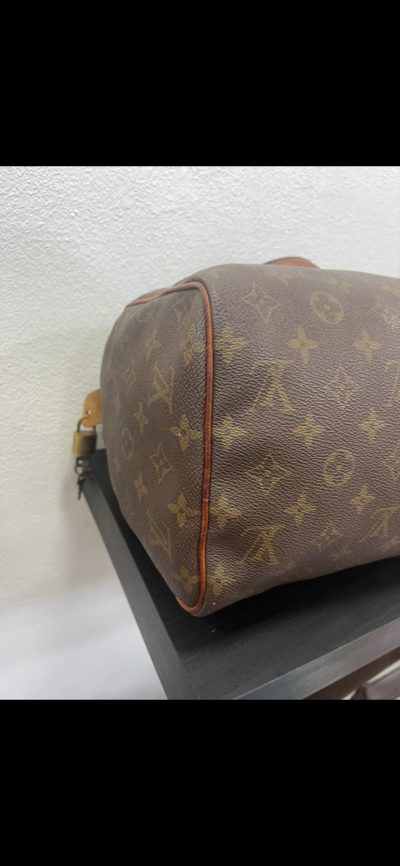Louis Vuitton Speedy 30 Monogram