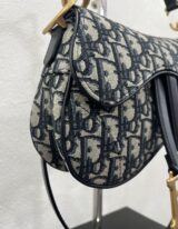 Christian Dior Mini Saddle in tela oblique