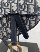 Christian Dior Mini Saddle in tela oblique