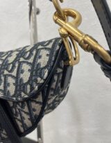 Christian Dior Mini Saddle in tela oblique