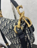 Christian Dior Mini Saddle in tela oblique